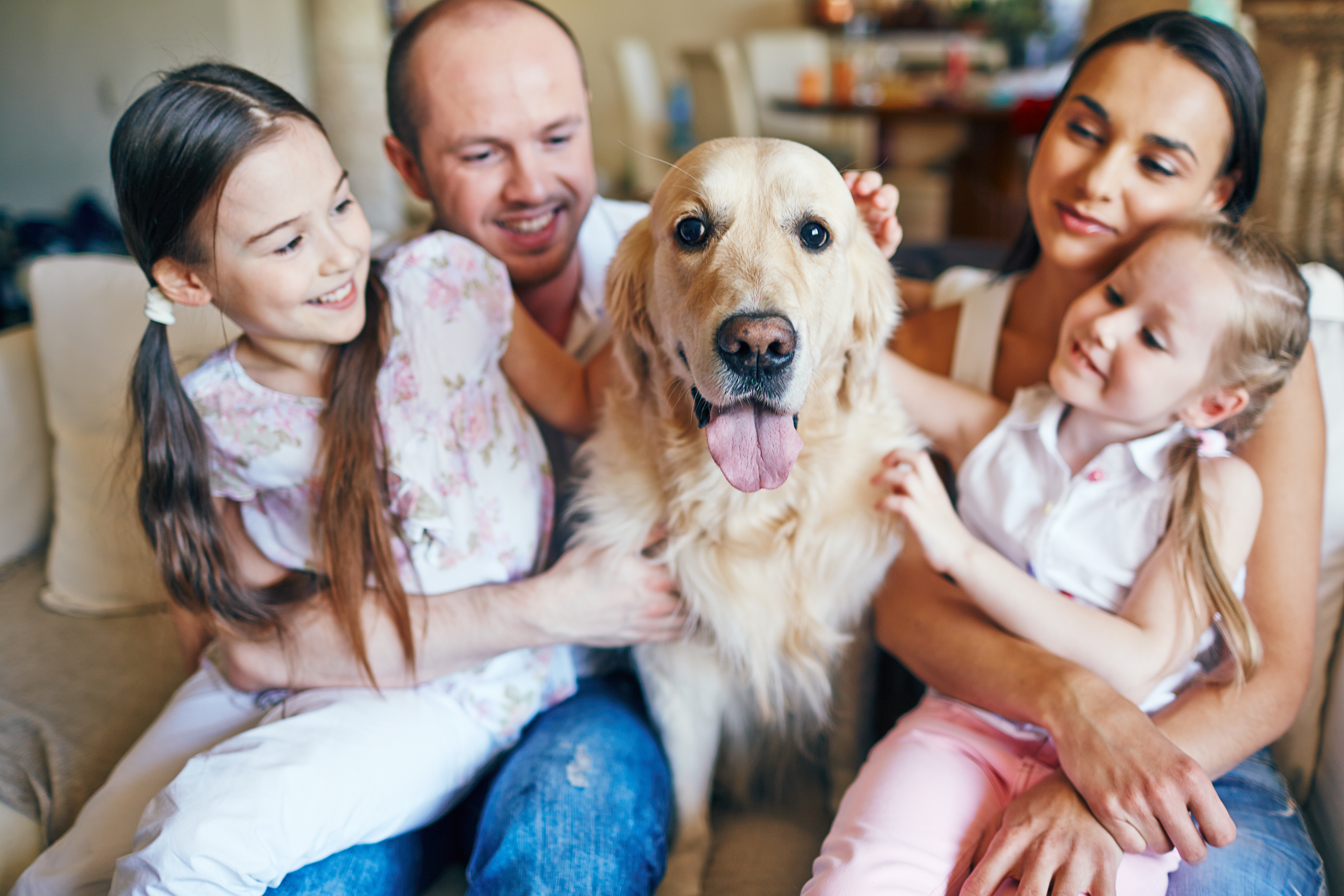 Familias multiespecie