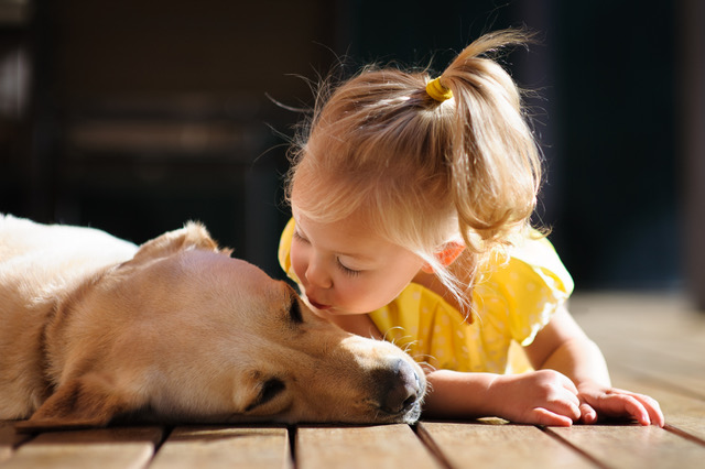 Infancia con perros: ¿Cómo influyen en el desarrollo?