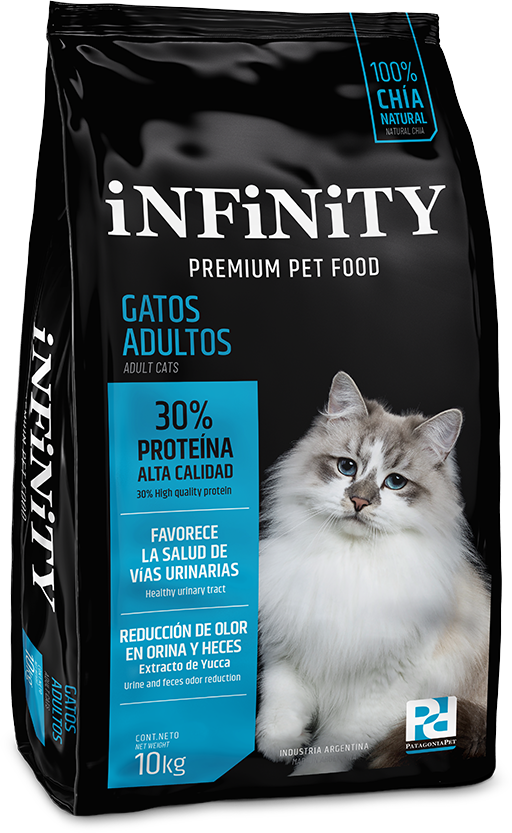 gatos adultos